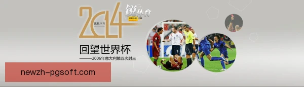 波尔2006年世界杯的三张黄牌 一次载入规则史的判罚乌龙
